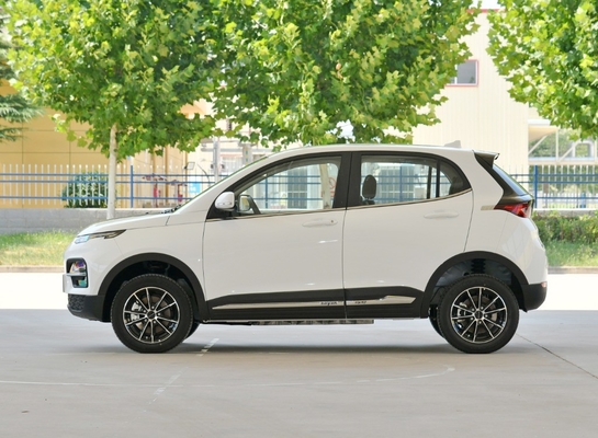 Dayun Yuehu Es3 Ev Vehículo eléctrico con opciones personalizadas y capacidad de largo alcance