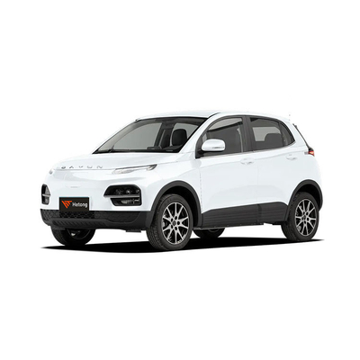DAYUN M1 Vehículos energéticos Automóvil eléctrico para adultos Automóvil de lujo 2023 Yuehu ES3 EV de largo alcance de 300 km