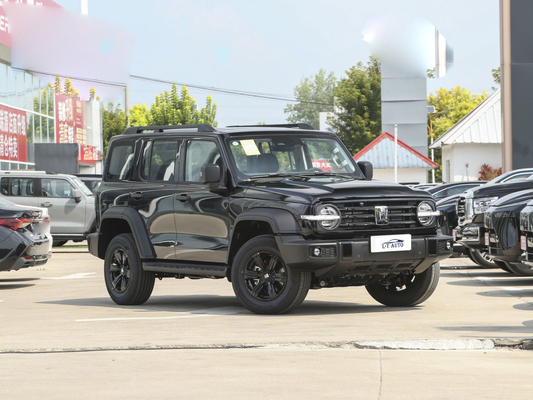 Cisterna 300 Cross-Country 2.0T Turbo Gasolina Suv Vehículo híbrido chino de gas/gasolina-eléctrico