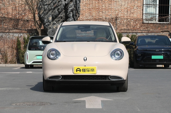 Haomao Mini Electric Car El vehículo de energía especial para conductores adultos con un alcance de 401 km