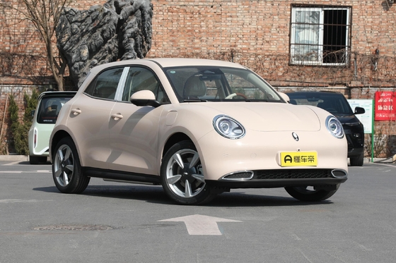 Haomao Mini Electric Car El vehículo de energía especial para conductores adultos con un alcance de 401 km