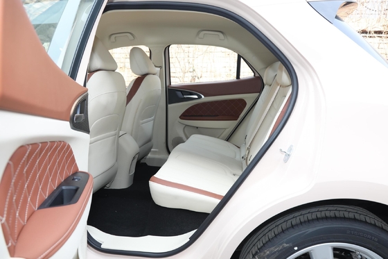 Haomao Mini Electric Car El vehículo de energía especial para conductores adultos con un alcance de 401 km